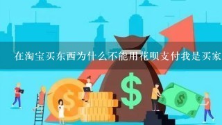 在淘宝买东西为什么不能用花呗支付我是买家