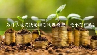 为什么说光线是理想物理模型，是不存在的？