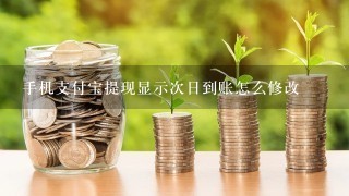 手机支付宝提现显示次日到账怎么修改