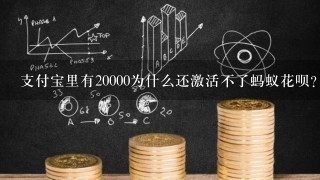 支付宝里有20000为什么还激活不了蚂蚁花呗？