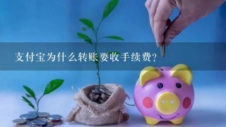 支付宝为什么转账要收手续费？