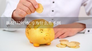 新股732919配号为什么查不到