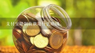 支付宝限制收款是什么原因