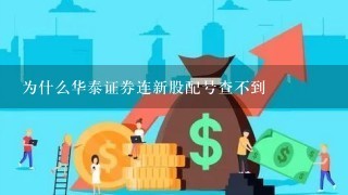 为什么华泰证券连新股配号查不到