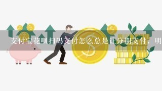 支付宝花呗扫码支付怎么总是让分期支付，明明额度还