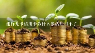 建行龙卡信用卡为什么激活后用不了