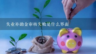 失业补助金审核失败是什么界面