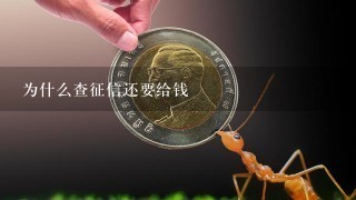 为什么查征信还要给钱