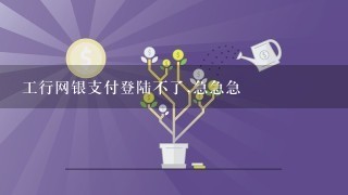 工行网银支付登陆不了,急急急