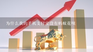 为什么我的手机支付宝没有蚂蚁花呗