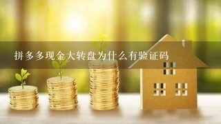 拼多多现金大转盘为什么有验证码