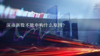 深市新股不能申购什么原因？