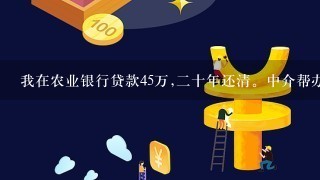 我在农业银行贷款45万,二十年还清。中介帮办理的利息是<br/>5、3是不是高了？