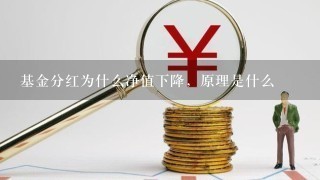 基金分红为什么净值下降，原理是什么