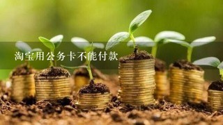 淘宝用公务卡不能付款