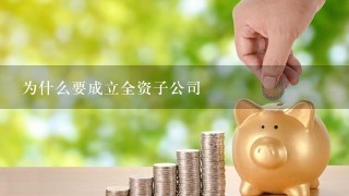 为什么要成立全资子公司