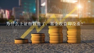 为什么上证指数涨了，基金收益却没涨？