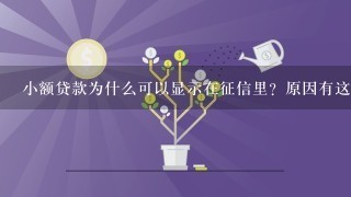 小额贷款为什么可以显示在征信里？原因有这几个！