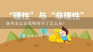 备用金忘还花呗用不了怎么办？