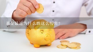 基金最近为什么跌这么厉害？