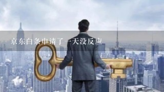 京东白条申请了一天没反应