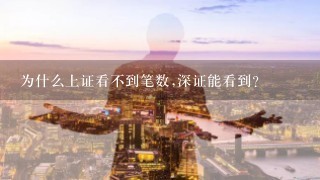 为什么上证看不到笔数,深证能看到?