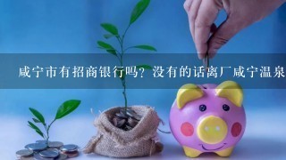 咸宁市有招商银行吗？没有的话离厂咸宁温泉最近的招商银行在哪？