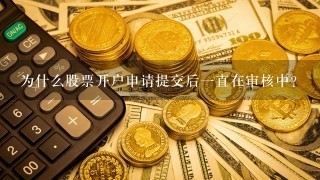 为什么股票开户申请提交后一直在审核中？