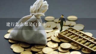 建行怎么都是白金卡