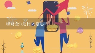 理财金h是什么意思