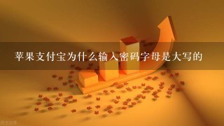 苹果支付宝为什么输入密码字母是大写的