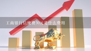 工商银行信使费30元是什么费用