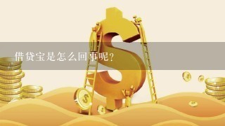 借贷宝是怎么回事呢？