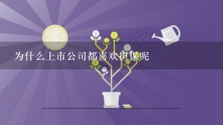 为什么上市公司都喜欢担保呢