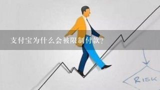 支付宝为什么会被限制付款？