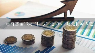 已有基金13天“巨亏”近30%，这是何原因造成的？