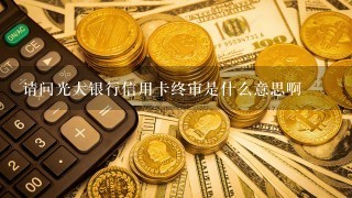 请问光大银行信用卡终审是什么意思啊