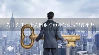 为什么工行个人网银打的开企业网银打不开