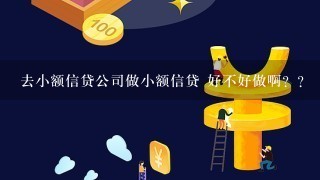 去小额信贷公司做小额信贷 好不好做啊？？