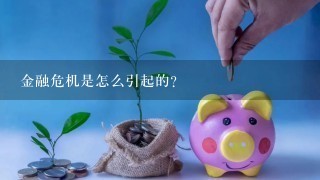 金融危机是怎么引起的？