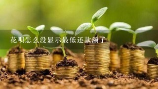 花呗怎么没显示最低还款额了