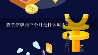 股票停牌两三个月是什么原因