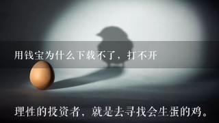 用钱宝为什么下载不了，打不开