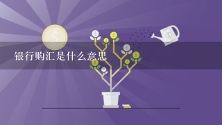 银行购汇是什么意思