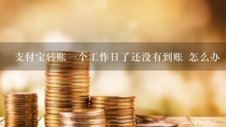 支付宝转账一个工作日了还没有到账 怎么办