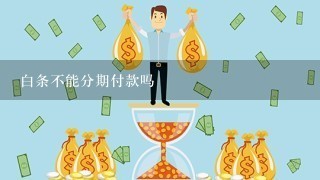 白条不能分期付款吗