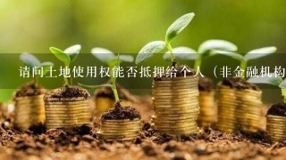 请问土地使用权能否抵押给个人（非金融机构）？