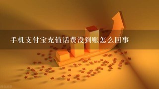 手机支付宝充值话费没到账怎么回事