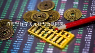 招商银行存美元有无金额限制