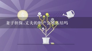 妻子担保,丈夫的财产会被冻结吗